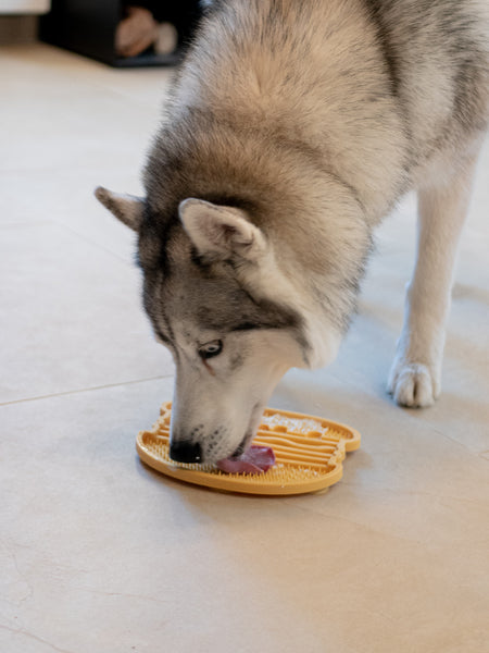 Inooko Tapis de léchage en forme de burger pour chien et chat - inooko