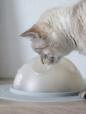 inooko-cat-igloo-jouet-distributeur-croquettes
