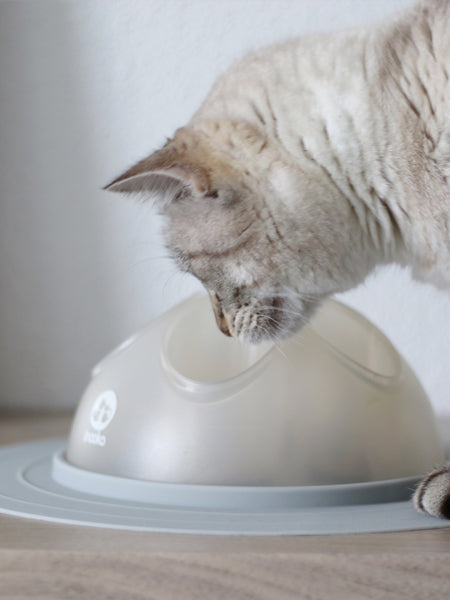 inooko-cat-igloo-jouet-distributeur-croquettes