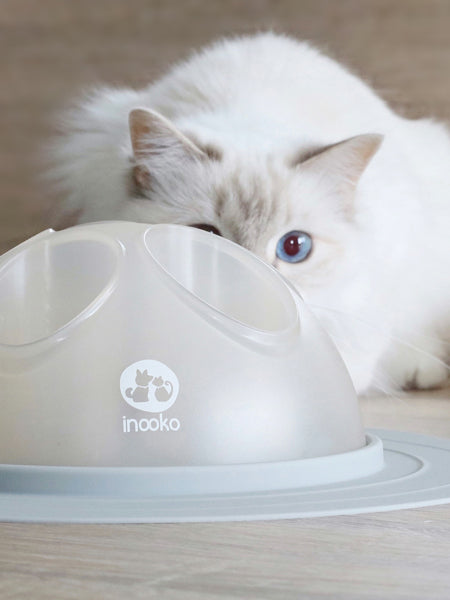 Inooko Cat Igloo - Jouet interactif pour Chat - Gris - inooko