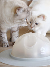 inooko-cat-igloo-jouet-distributeur-croquettes