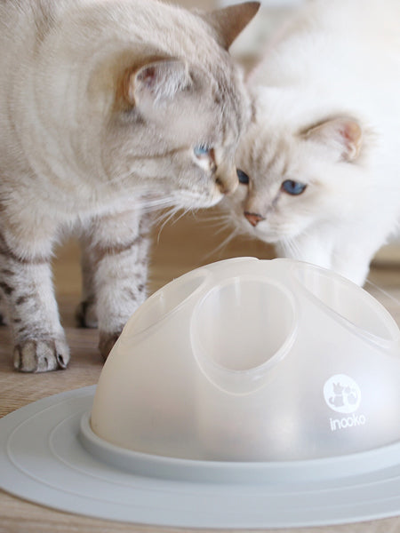 inooko-cat-igloo-jouet-distributeur-croquettes