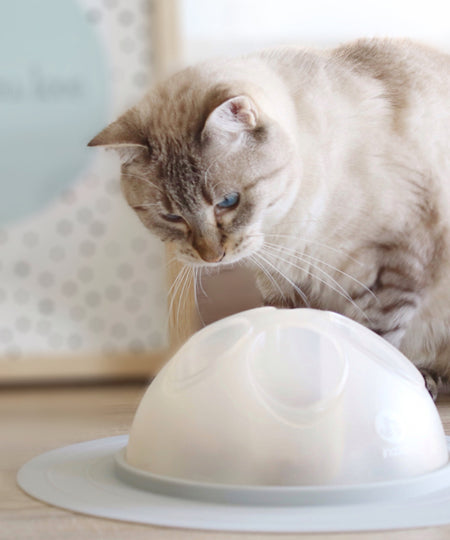 inooko-cat-igloo-jouet-distributeur-croquettes-gris