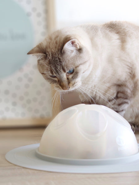 inooko-cat-igloo-jouet-distributeur-croquettes