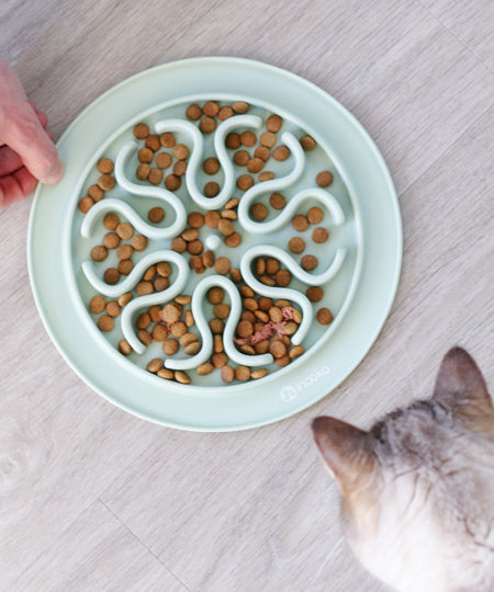 inooko-gamelle-anti-glouton-chat-vert