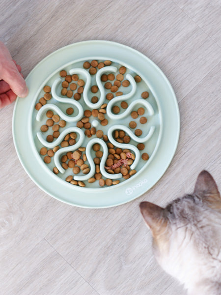 inooko-gamelle-anti-glouton-chat