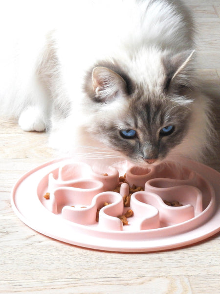 inooko - gamelle antiglouton pour chat gris