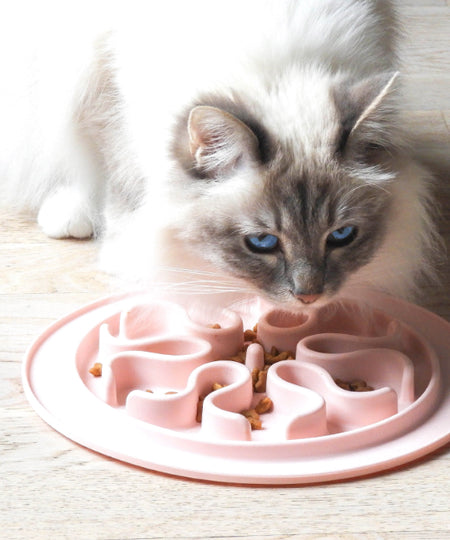 inooko - gamelle antiglouton pour chat gris