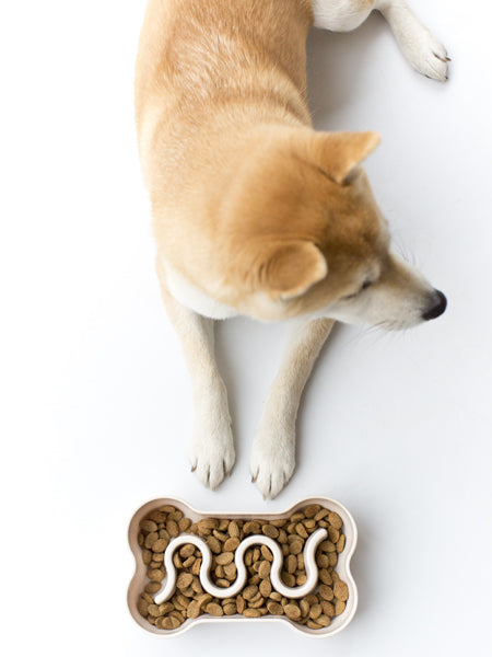 inooko-gamelle-anti-glouton-pour-chien