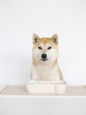 inooko-gamelle-antiglouton-pour-chien