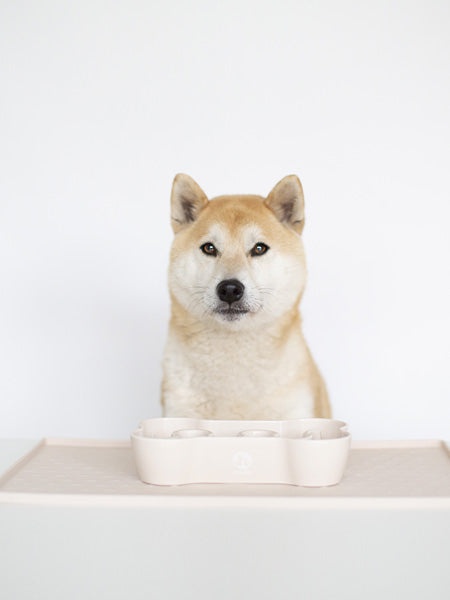 inooko-gamelle-antiglouton-pour-chien