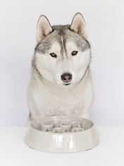 inooko-gamelle-anti-glouton-pour-grand-chien