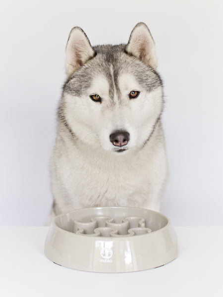 inooko-gamelle-anti-glouton-pour-grand-chien