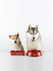 inooko - Slow feeder bowl for large dogs