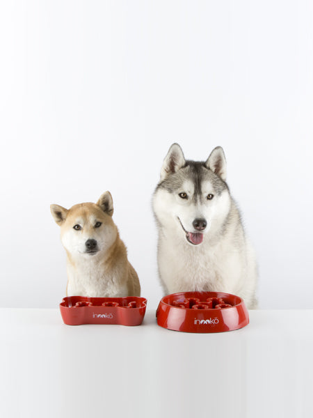 inooko - Slow feeder bowl for large dogs