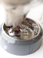 inooko-gamelle-qualite-pour-chien
