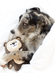inooko-peluche-eco-friendly-pour-chien