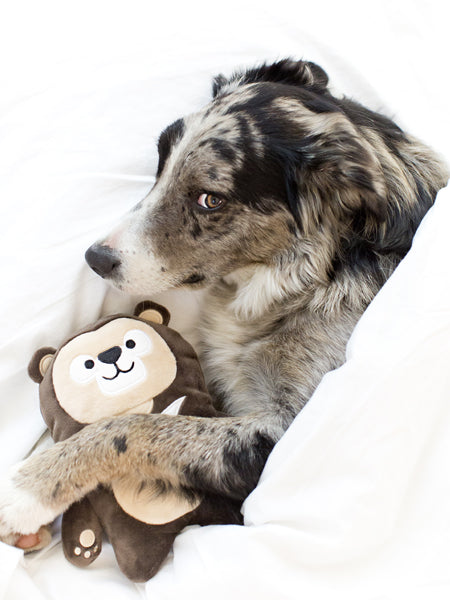 inooko-peluche-eco-friendly-pour-chien
