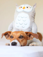 inooko-peluche-eco-friendly-pour-chien