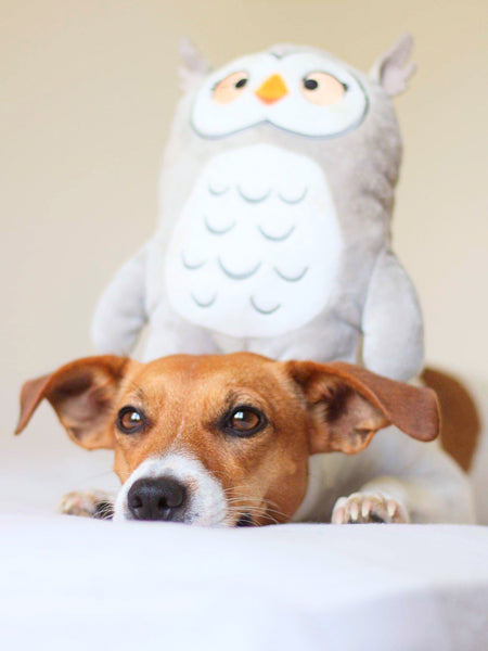 inooko-peluche-eco-friendly-pour-chien