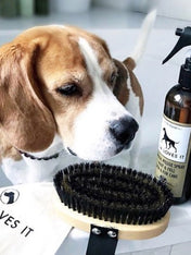 lila-loves-it-brosse-pour-chien-poils-court