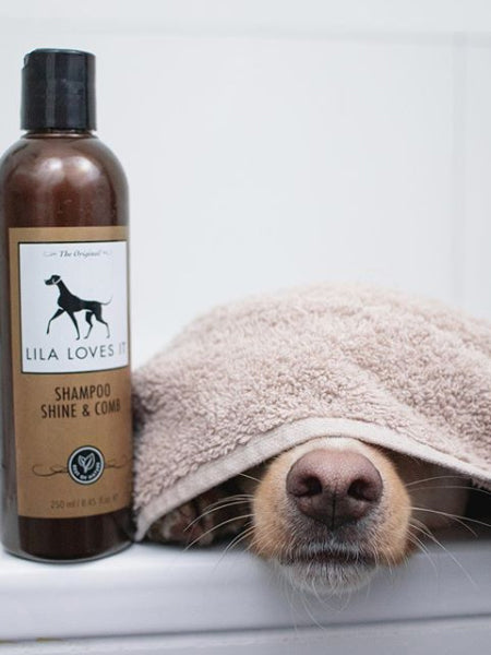 Lila-loves-it-sensitive-shampoo-dog