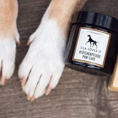 lila-loves-it-soins-des-pattes-pour-chien-baume