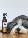 lila-loves-it-Spray-démelant-pour-chien