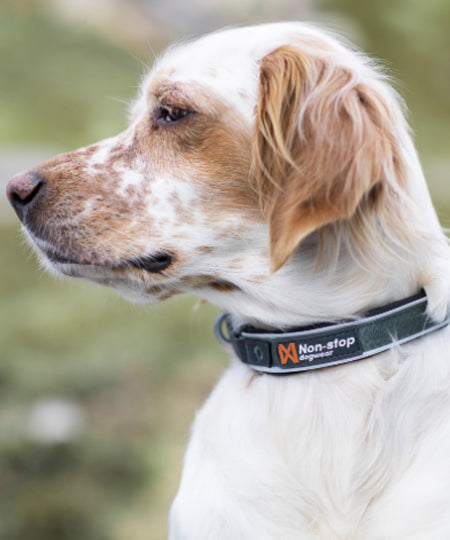     non-stop-dogwear-collier-chien-roam-collar-vert