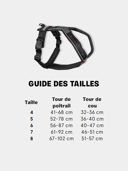        non-stop-dogwear-harnais-chien-line-harness-5.0-bleu
