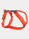        non-stop-dogwear-harnais-chien-line-harness-5.0-orange