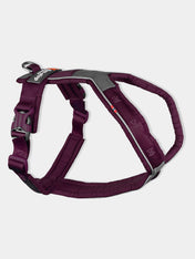        non-stop-dogwear-harnais-chien-line-harness-5.0-violet