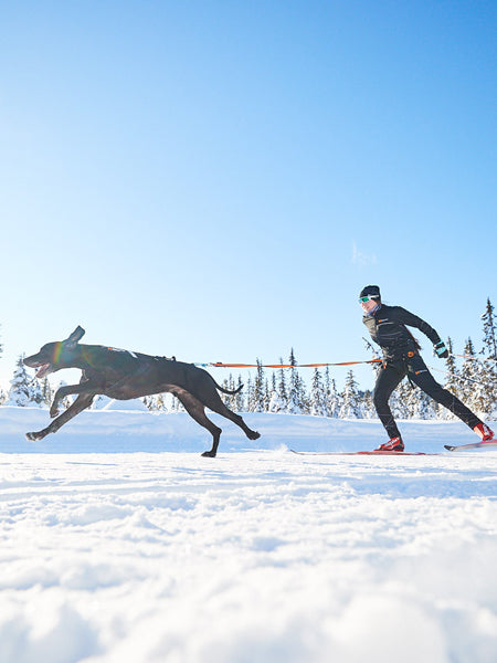        non-stop-dogwear-harnais-freemotion