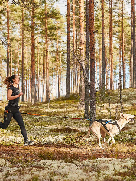        non-stop-dogwear-harnais-freemotion