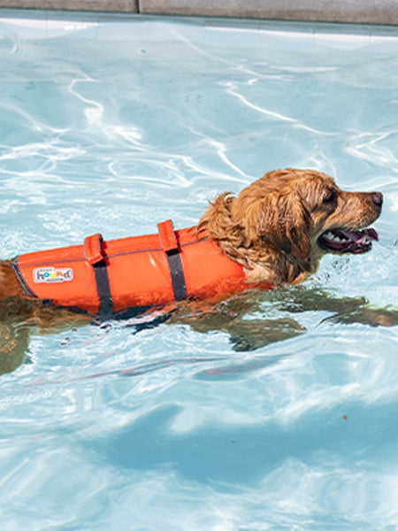    outward-hound-GranbySplash-gillet-sauvetage-pour-chien