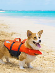    outward-hound-GranbySplash-gillet-sauvetage-pour-chien