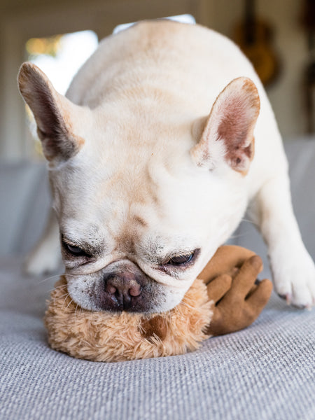    pet-play-peluche-chien-cerf-noel.