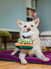 pet-play-peluche-chien-ferry-sydney