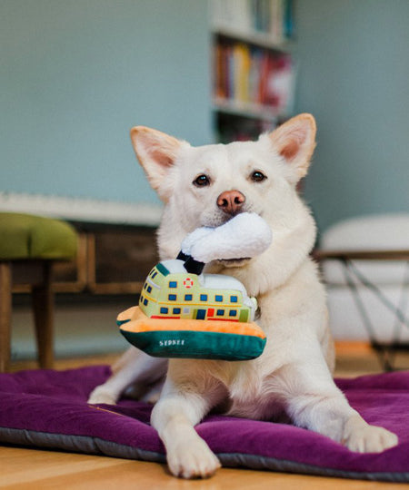 pet-play-peluche-chien-ferry-sydney
