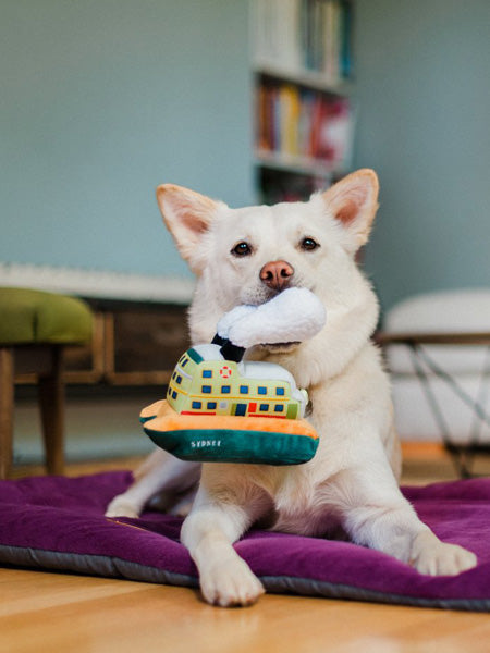 pet-play-peluche-chien-ferry-sydney
