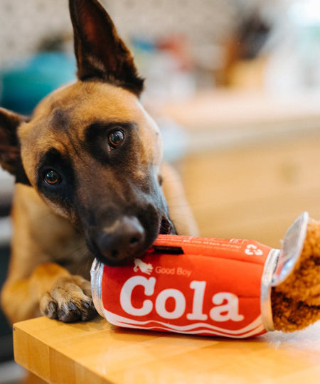     pet-play-peluche-chien-snack-attack-cola