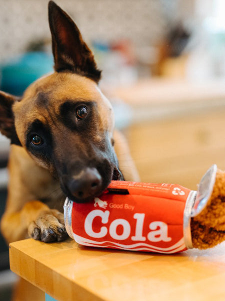     pet-play-peluche-chien-snack-attack-cola