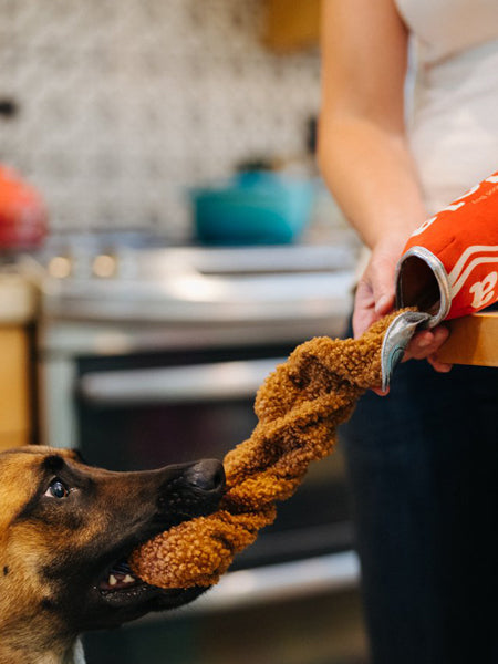     pet-play-peluche-chien-snack-attack-cola