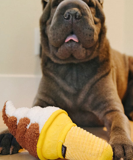       pet-play-peluche-chien-snack-attack-glace