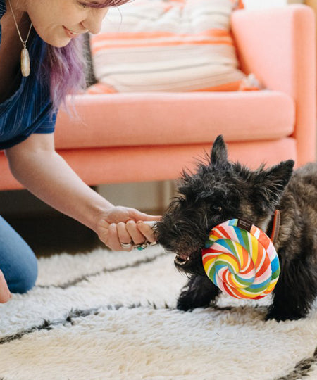       pet-play-peluche-chien-snack-attack-Sucette