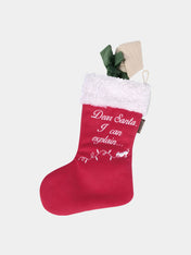    pet-play-peluche-noel-chien-good-Dog-Stocking