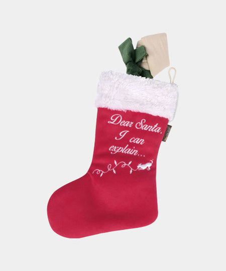    pet-play-peluche-noel-chien-good-Dog-Stocking