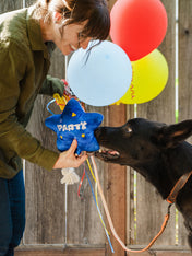 jouet-peluche-pour-chien-Ballon-Anniversaire 