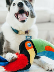 peluche-eco-friendly-pour-chien-toucan