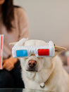 pet-play-peluche-pour-chien-chiot-Hollywoof-lunette-3D